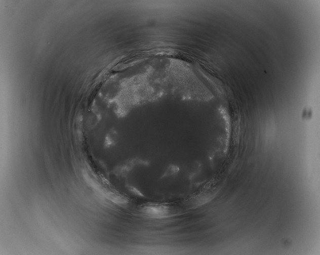X0000114190263200911200943