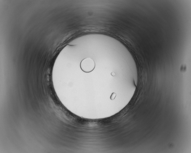 X0000114190264200911200943