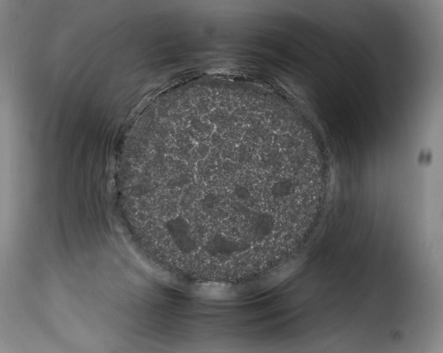 X0000114190265200911200943