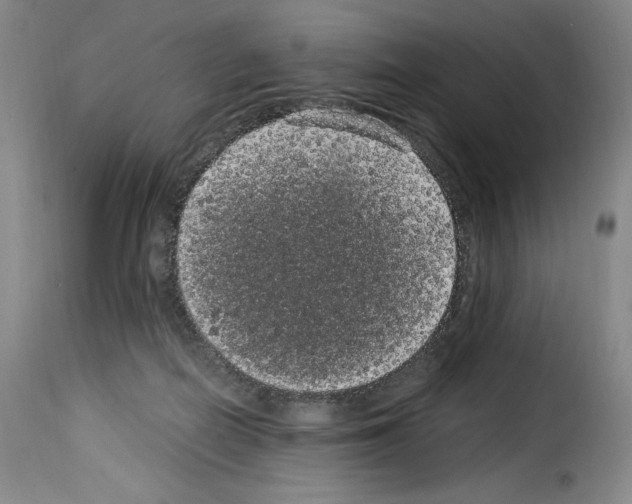 X0000114190266200911200943