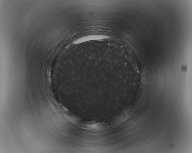 X0000114190267200911200943