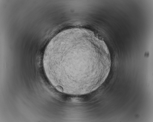 X0000114190268200911200943