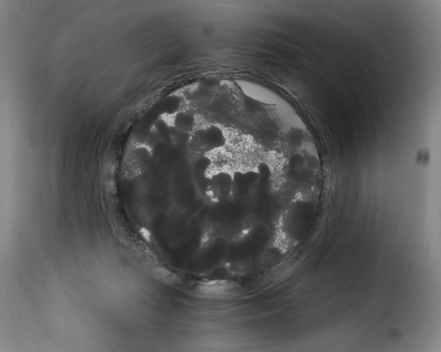 X0000114190269200911200943