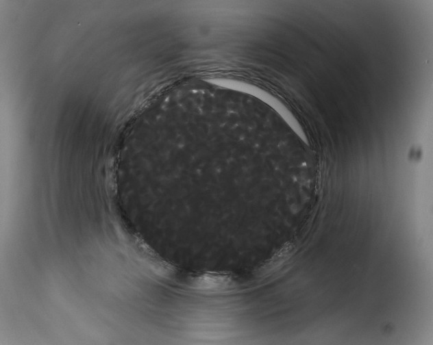 X0000114190270200911200943