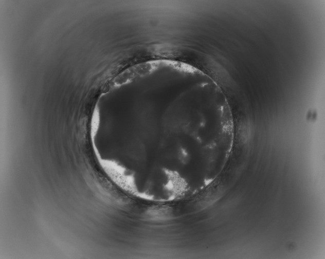 X0000114190271200911200943