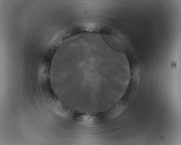 X0000114190272200911200943