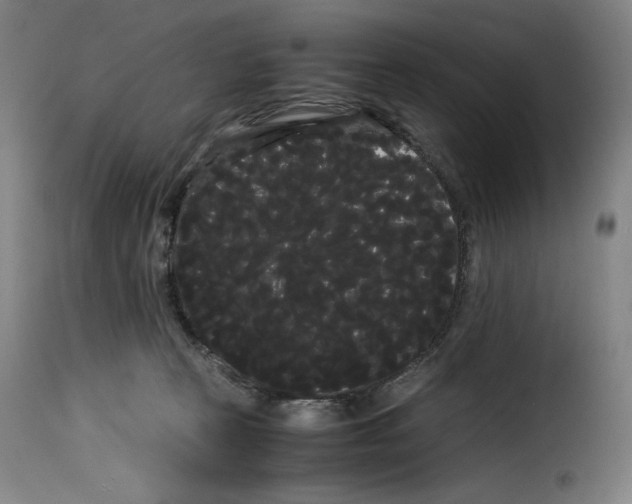 X0000114190273200911200943