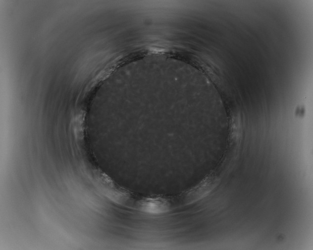 X0000114190275200911200943