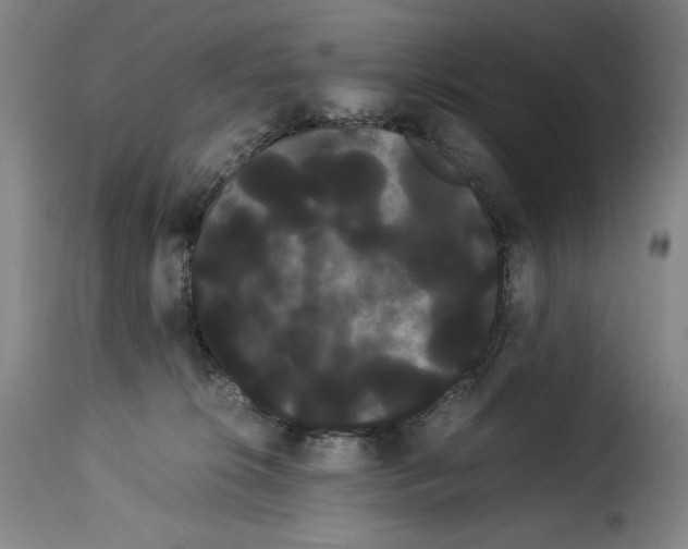 X0000114190276200911200943
