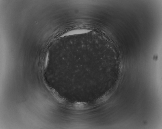 X0000114190277200911200943