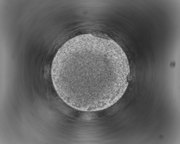 X0000114190278200911200943