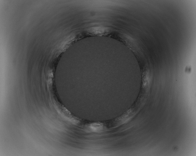 X0000114190279200911200943