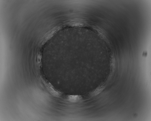 X0000114190281200911200943