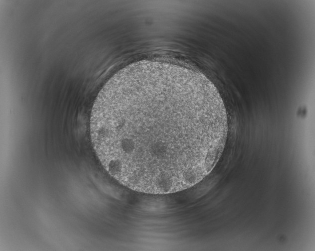 X0000114190282200911200943