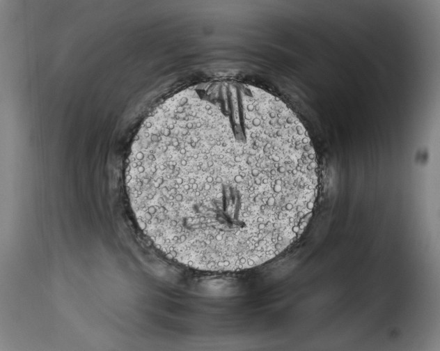 X0000114190283200911200943