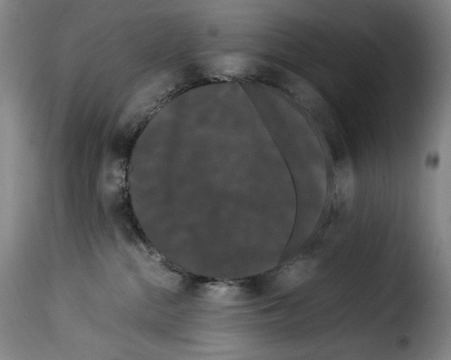X0000114190284200911200943