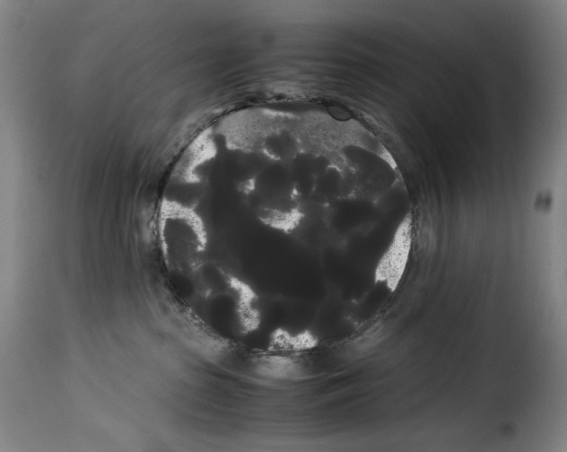 X0000114190285200911200943