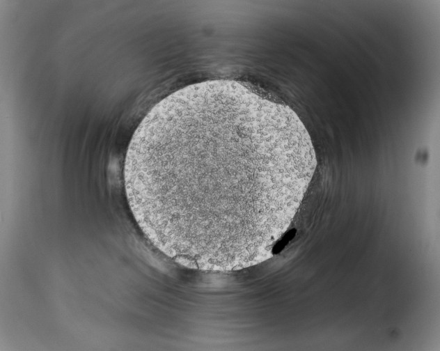 X0000114190286200911200943