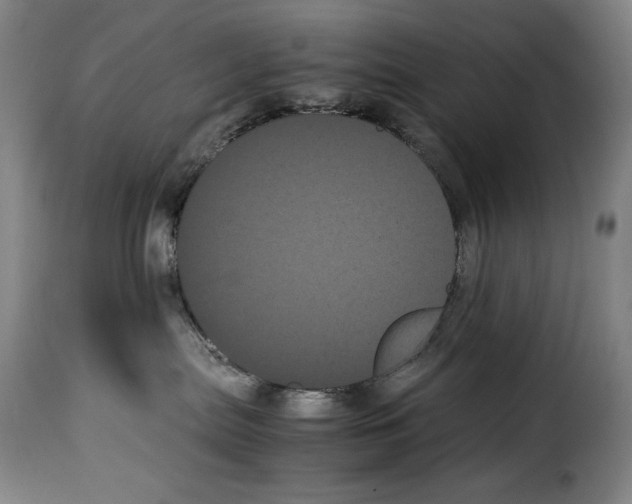 X0000114190287200911200943