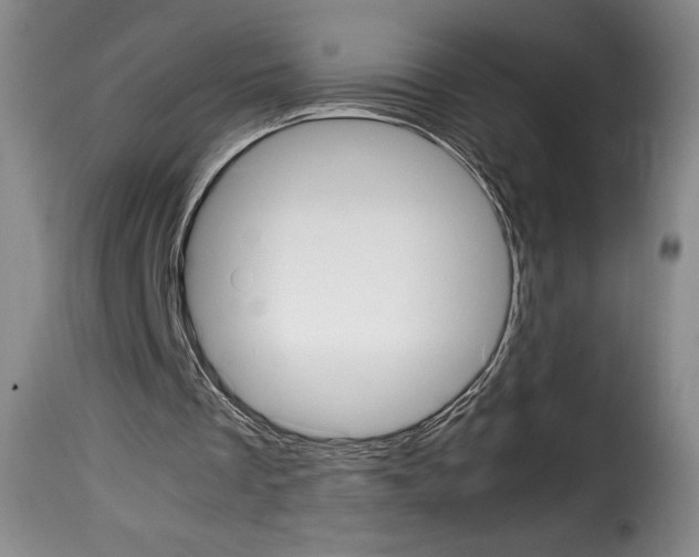 X0000114190289200911200943