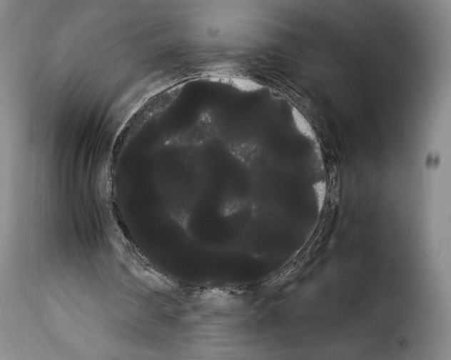 X0000114190290200911200943