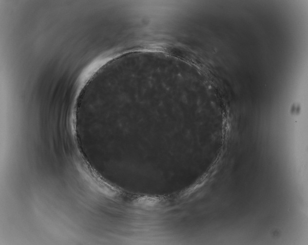 X0000114190294200911200943