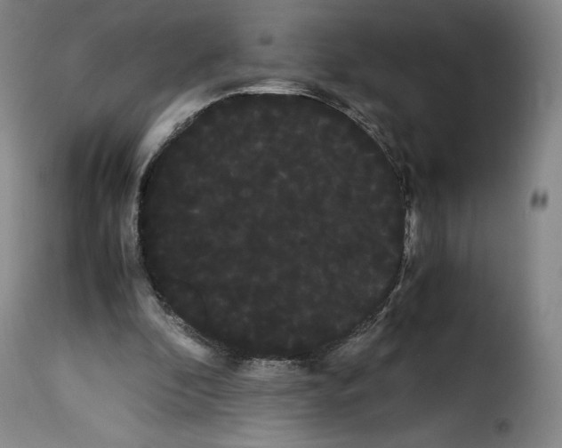X0000114190296200911200943