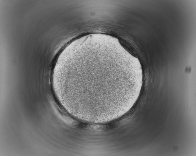 X0000114190299200911200943
