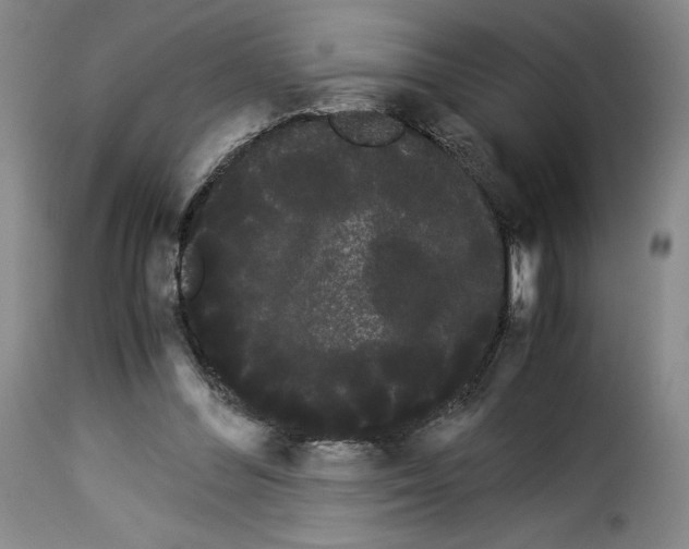 X0000114190300200911200943
