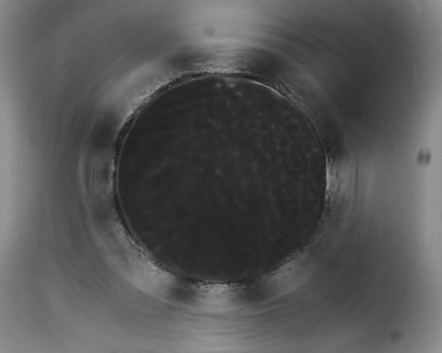 X0000114190301200911200943