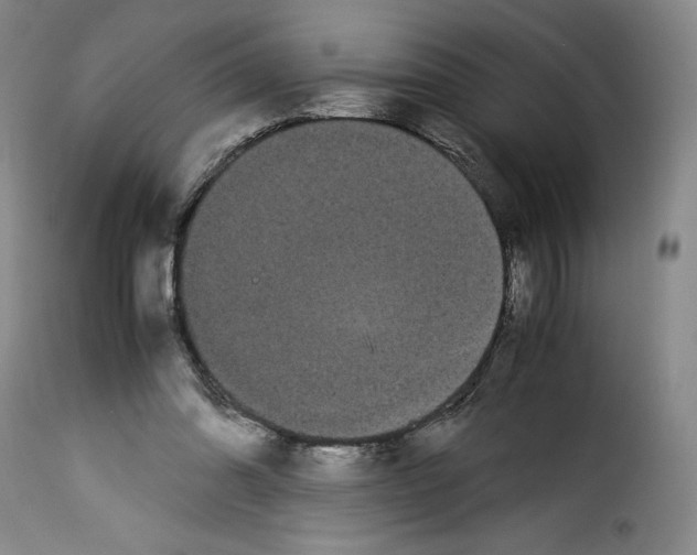 X0000114190302200911200943