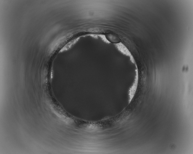 X0000114190303200911200943