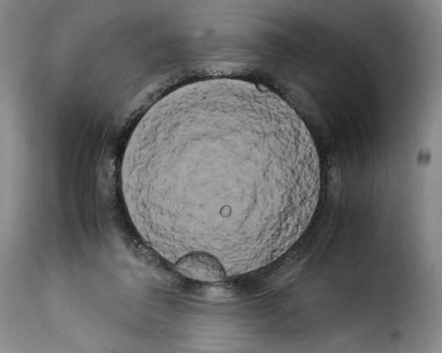X0000114190308200911200942