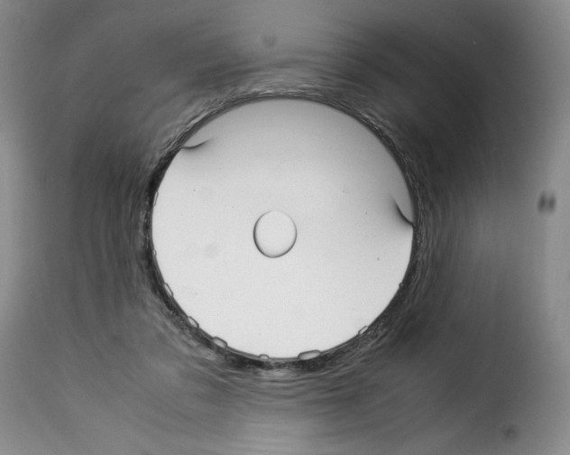 X0000114190309200911200942