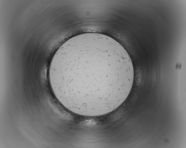 X0000114190310200911200942