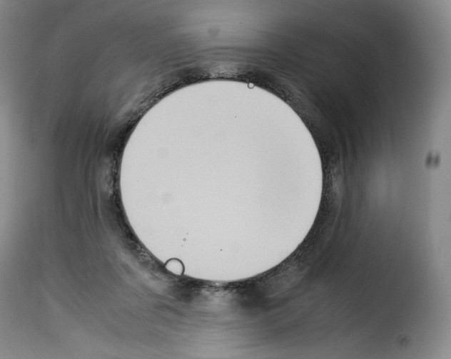 X0000114190311200911200942