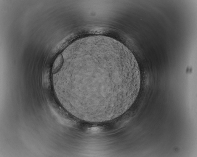 X0000114190312200911200942