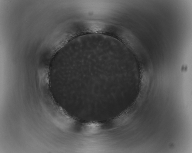 X0000114190313200911200942