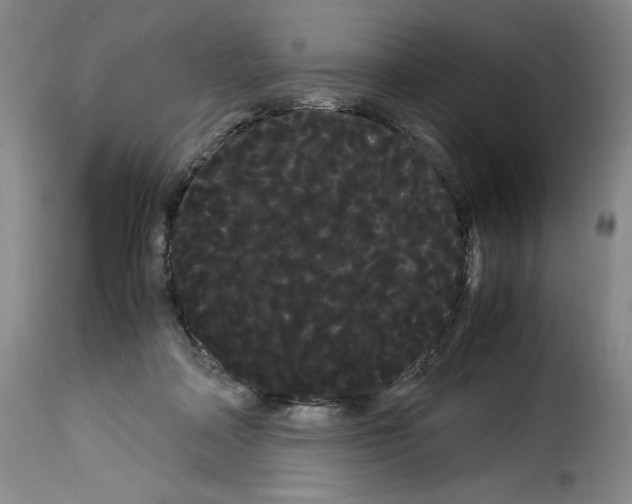 X0000114190314200911200942