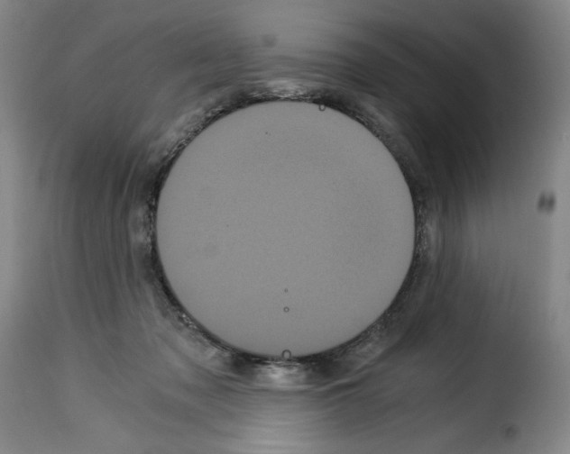 X0000114190317200911200942