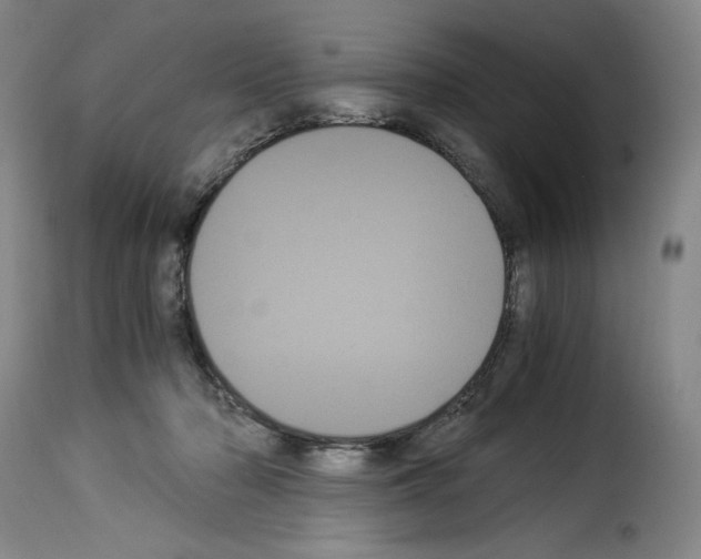 X0000114190318200911200942