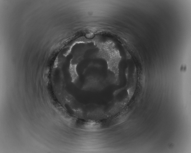 X0000114190319200911200942
