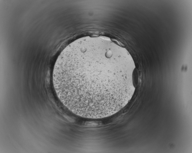 X0000114190320200911200942