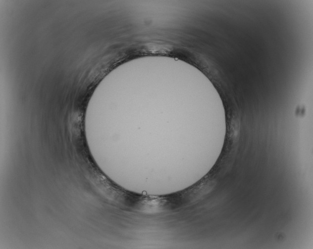 X0000114190321200911200942