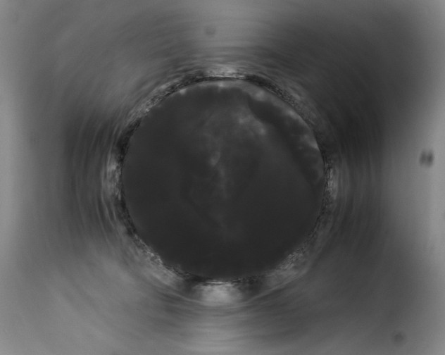 X0000114190322200911200942
