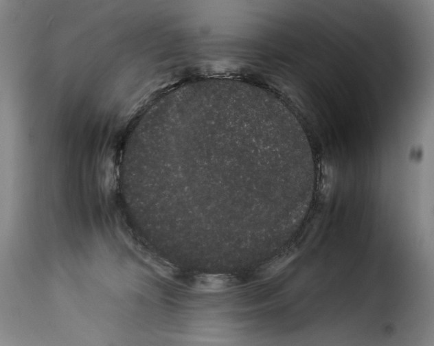 X0000114190324200911200942