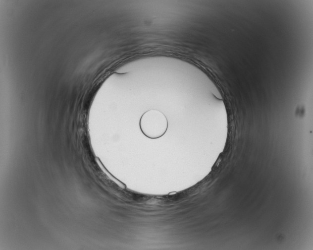 X0000114190325200911200942