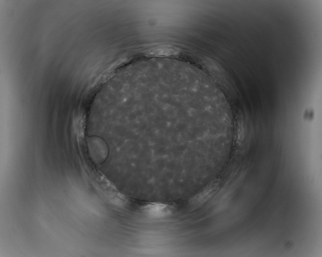X0000114190326200911200942
