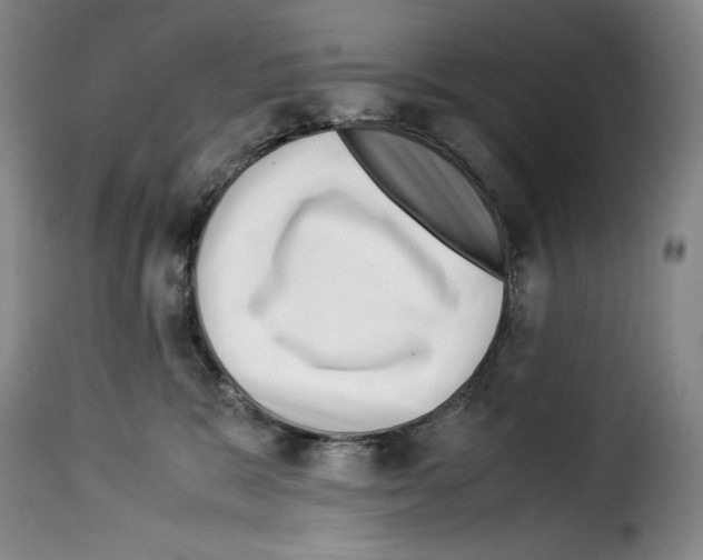 X0000114190327200911200942
