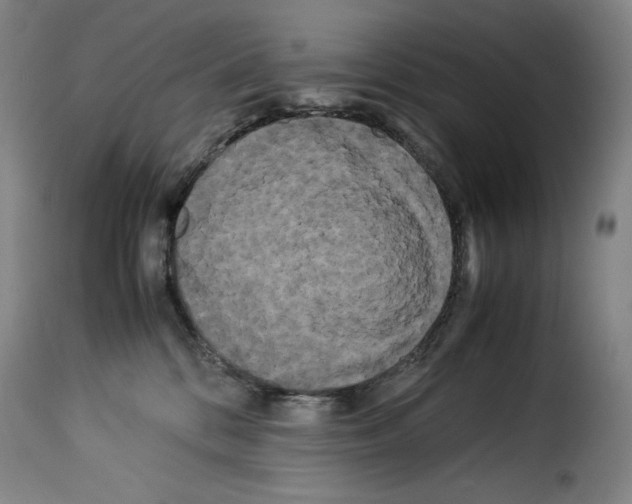 X0000114190328200911200942